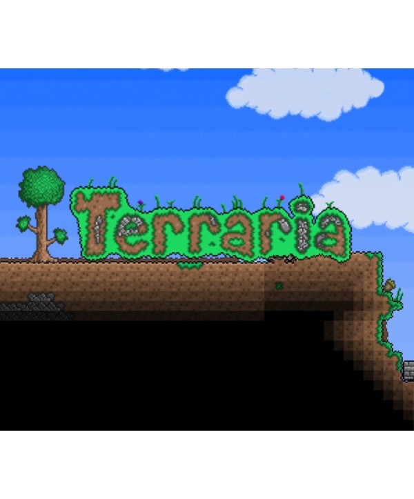 Terraria Gift Steam Key 